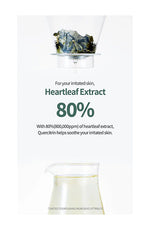 Anua Heartleaf Quercetinol Pore Deep Cleansing Foam - Olive Kollection