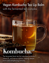 Dr. Ceuracle Vegan Kombucha Tea Lip Balm - Olive Kollection