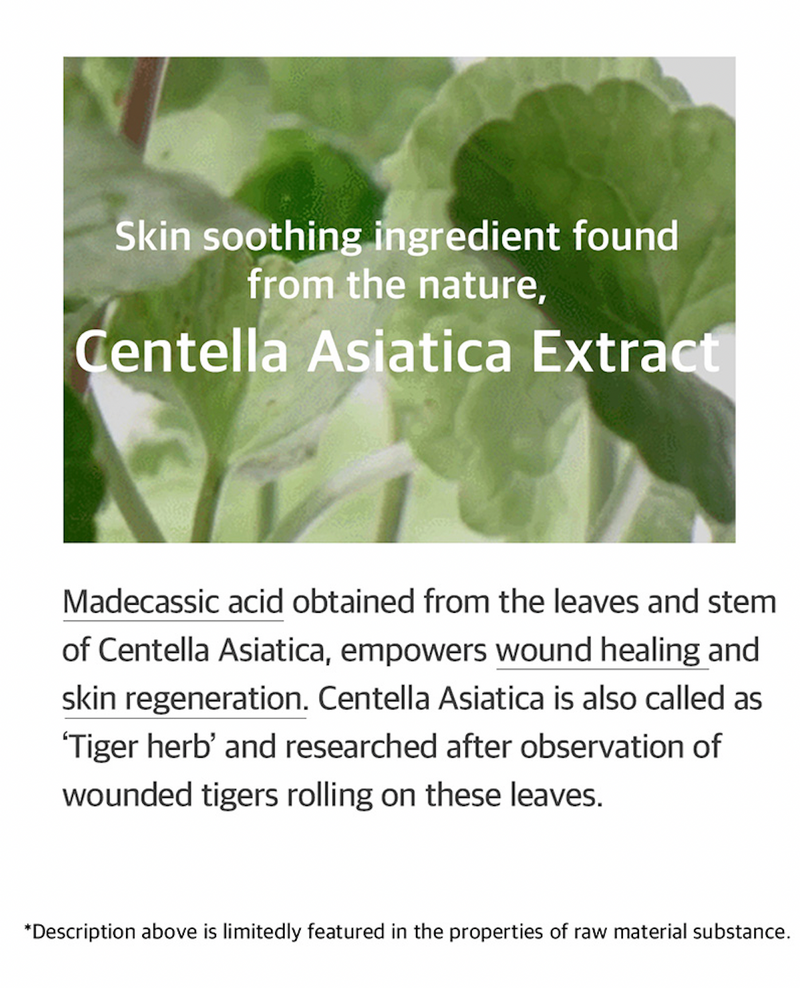Mixsoon Soondy Centella Asiatica Essence - Olive Kollection